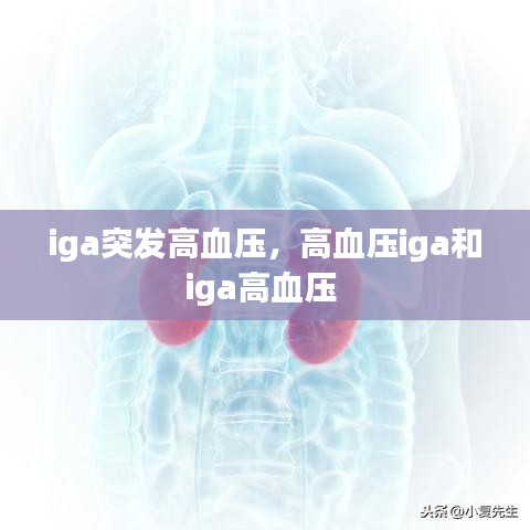 iga突發(fā)高血壓，高血壓iga和iga高血壓 