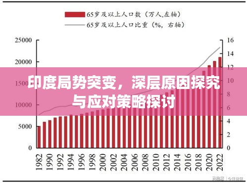 印度局勢(shì)突變，深層原因探究與應(yīng)對(duì)策略探討