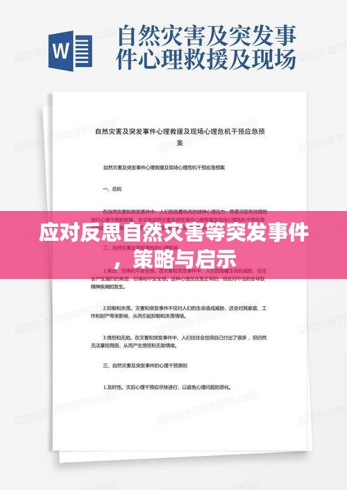 應(yīng)對反思自然災(zāi)害等突發(fā)事件，策略與啟示