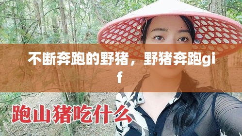 不斷奔跑的野豬，野豬奔跑gif 