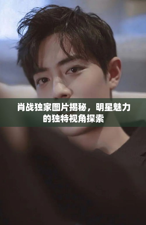 肖戰(zhàn)獨(dú)家圖片揭秘，明星魅力的獨(dú)特視角探索