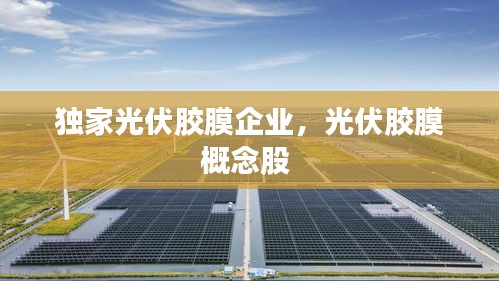 獨(dú)家光伏膠膜企業(yè)，光伏膠膜概念股 