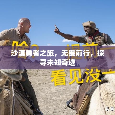 遍地開花 第2頁