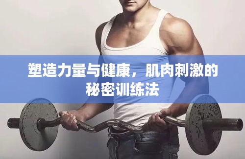 塑造力量與健康，肌肉刺激的秘密訓(xùn)練法