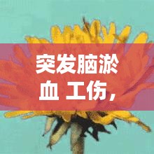 突發(fā)腦淤血 工傷，腦淤血算幾級(jí)傷殘 
