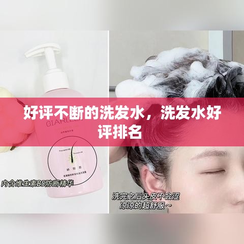 好評不斷的洗發(fā)水，洗發(fā)水好評排名 