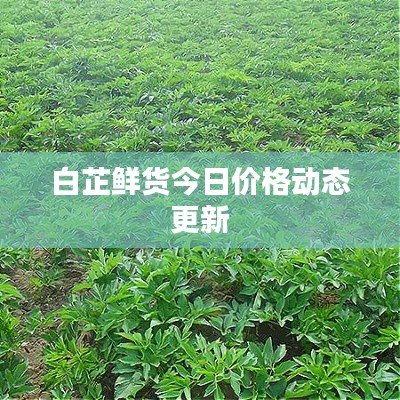 粗衣淡飯 第2頁