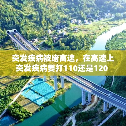 只爭(zhēng)朝夕 第2頁(yè)
