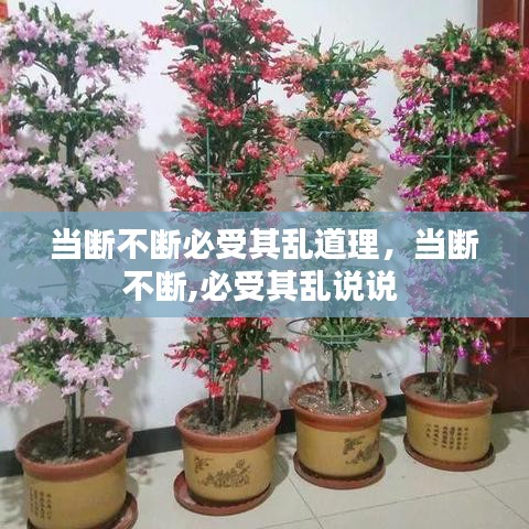 當(dāng)斷不斷必受其亂道理，當(dāng)斷不斷,必受其亂說說 