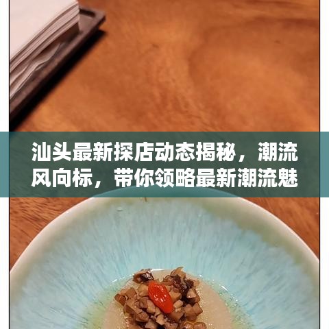 汕頭最新探店動態(tài)揭秘，潮流風向標，帶你領略最新潮流魅力