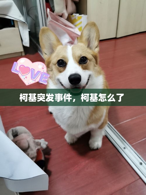 潔身自好 第2頁