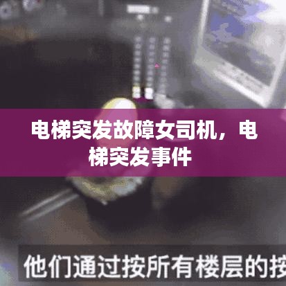 無影無蹤 第2頁