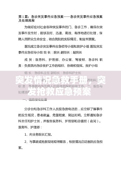 突發(fā)情況急救手冊，突發(fā)搶救應急預案 