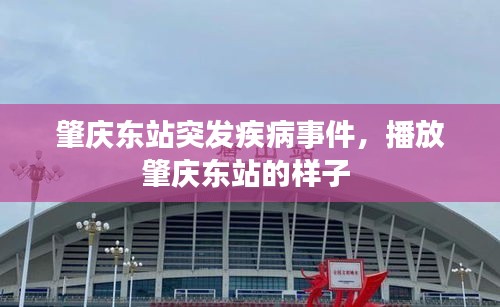 肇慶東站突發(fā)疾病事件，播放肇慶東站的樣子 