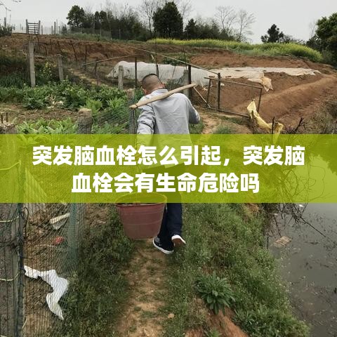 突發(fā)腦血栓怎么引起，突發(fā)腦血栓會有生命危險(xiǎn)嗎 