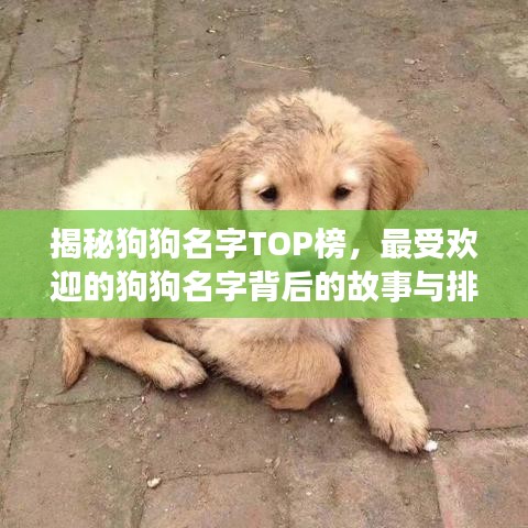 大驚失色 第2頁