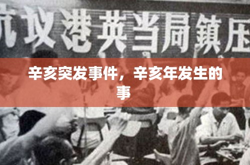 辛亥突發(fā)事件，辛亥年發(fā)生的事 
