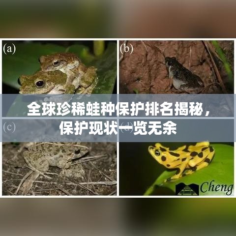 全球珍稀蛙種保護(hù)排名揭秘，保護(hù)現(xiàn)狀一覽無(wú)余