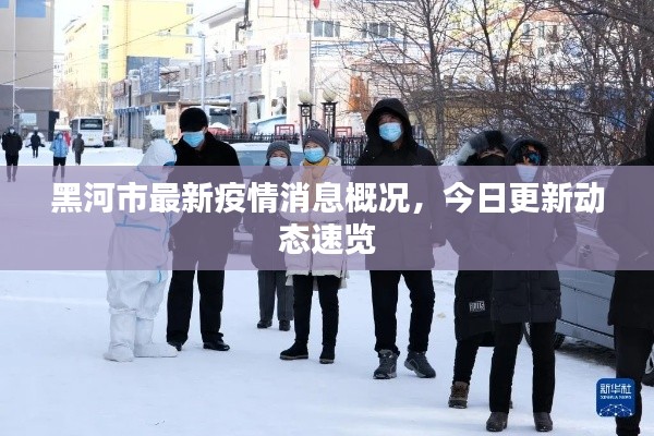 黑河市最新疫情消息概況，今日更新動態(tài)速覽