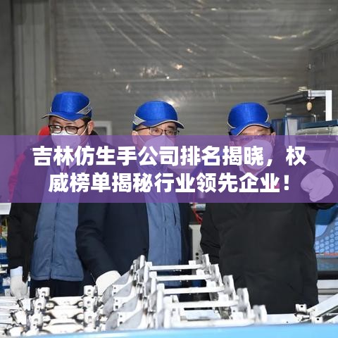 吉林仿生手公司排名揭曉，權(quán)威榜單揭秘行業(yè)領(lǐng)先企業(yè)！