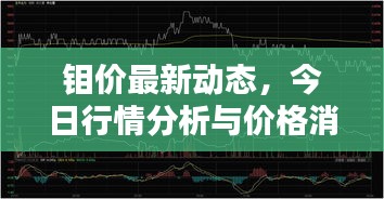 鉬價最新動態(tài)，今日行情分析與價格消息一網(wǎng)打盡