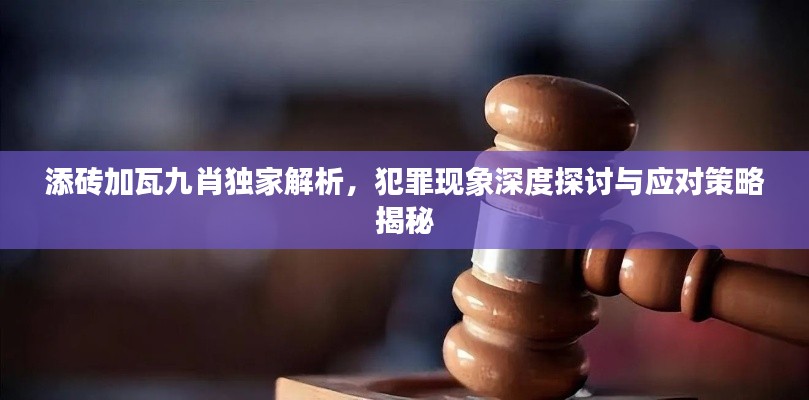 添磚加瓦九肖獨家解析，犯罪現(xiàn)象深度探討與應(yīng)對策略揭秘