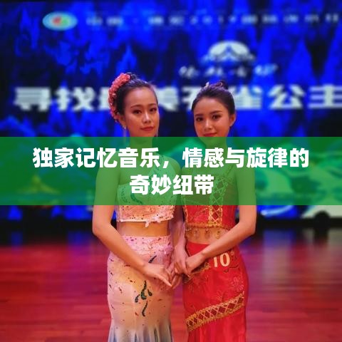 獨(dú)家記憶音樂，情感與旋律的奇妙紐帶
