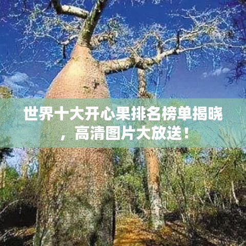世界十大開心果排名榜單揭曉，高清圖片大放送！