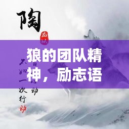 狼的團隊精神，勵志語錄激發(fā)無限潛能