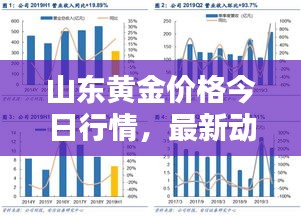 山東黃金價(jià)格今日行情，最新動態(tài)、深度分析與查詢