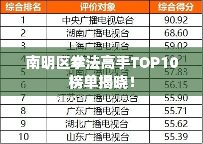 南明區(qū)拳法高手TOP10榜單揭曉！