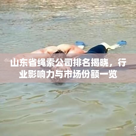 山東省繩索公司排名揭曉，行業(yè)影響力與市場(chǎng)份額一覽