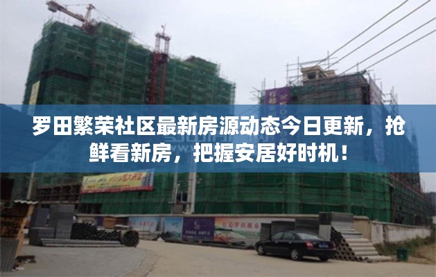 羅田繁榮社區(qū)最新房源動態(tài)今日更新，搶鮮看新房，把握安居好時機(jī)！
