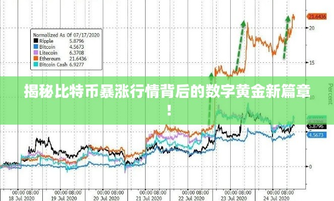 揭秘比特幣暴漲行情背后的數(shù)字黃金新篇章！
