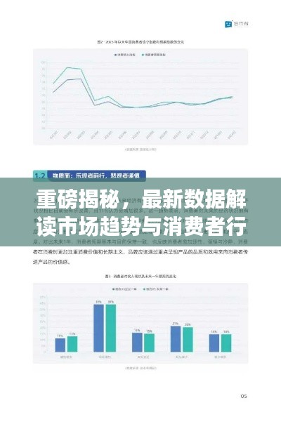 重磅揭秘，最新數(shù)據(jù)解讀市場趨勢與消費(fèi)者行為，2024以舊換新趨勢分析