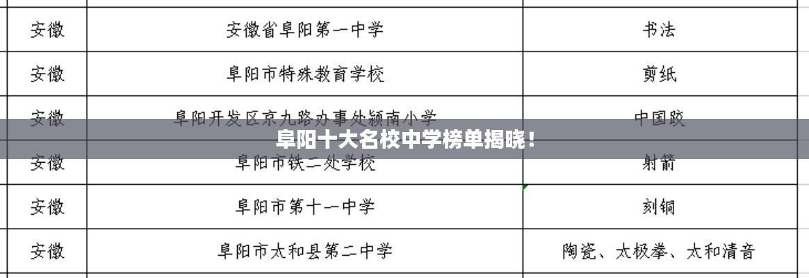 阜陽十大名校中學榜單揭曉！