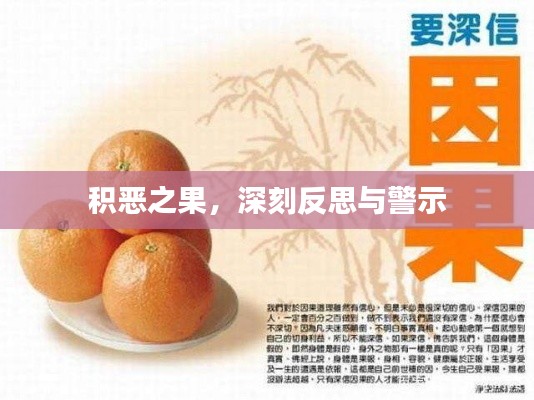 積惡之果，深刻反思與警示