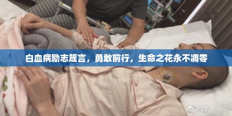 白血病勵(lì)志箴言，勇敢前行，生命之花永不凋零