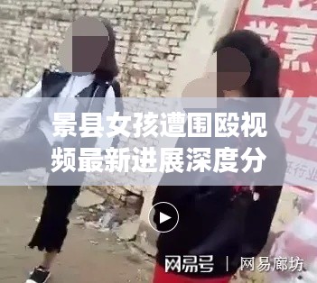 飛揚(yáng)撥扈 第2頁