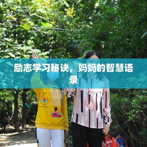 勵(lì)志學(xué)習(xí)秘訣，媽媽的智慧語(yǔ)錄