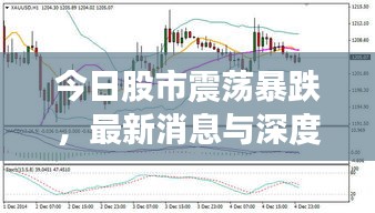 今日股市震蕩暴跌，最新消息與深度分析揭秘原因