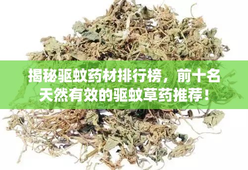 揭秘驅(qū)蚊藥材排行榜，前十名天然有效的驅(qū)蚊草藥推薦！