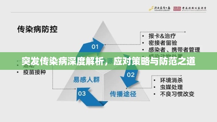 突發(fā)傳染病深度解析，應(yīng)對策略與防范之道
