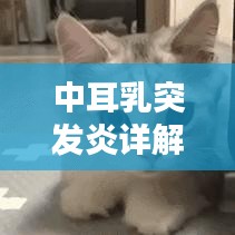中耳乳突發(fā)炎詳解，定義、誘因、癥狀與治療方案