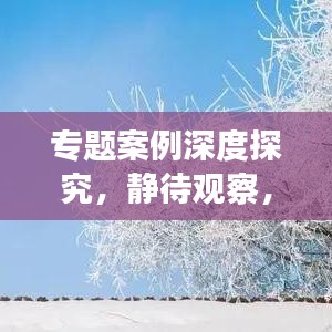 專題案例深度探究，靜待觀察，揭秘未知
