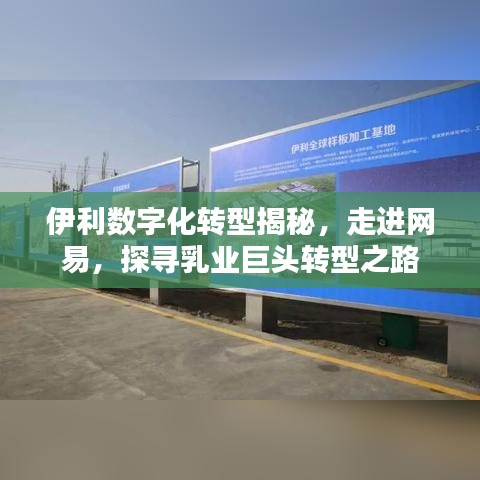 伊利數(shù)字化轉(zhuǎn)型揭秘，走進(jìn)網(wǎng)易，探尋乳業(yè)巨頭轉(zhuǎn)型之路