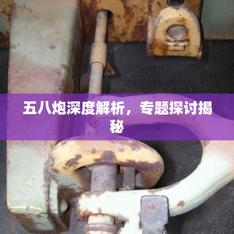 五八炮深度解析，專題探討揭秘