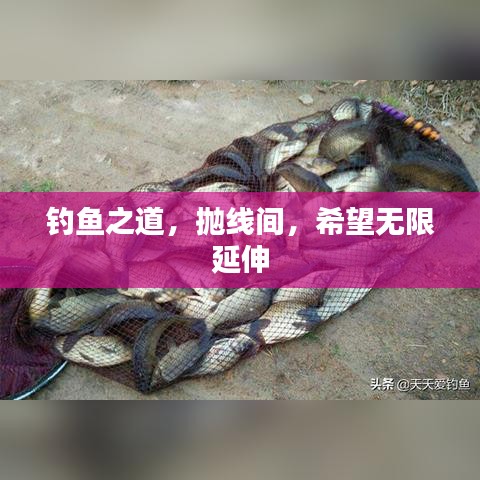 釣魚之道，拋線間，希望無限延伸
