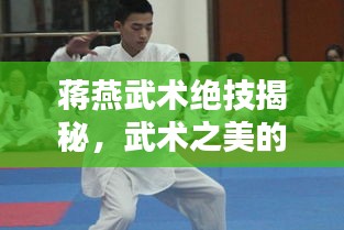蔣燕武術(shù)絕技揭秘，武術(shù)之美的獨(dú)特魅力視頻欣賞