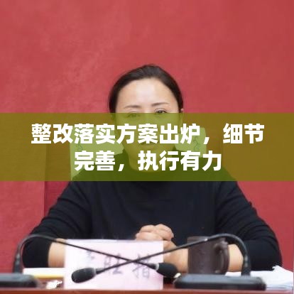整改落實方案出爐，細(xì)節(jié)完善，執(zhí)行有力